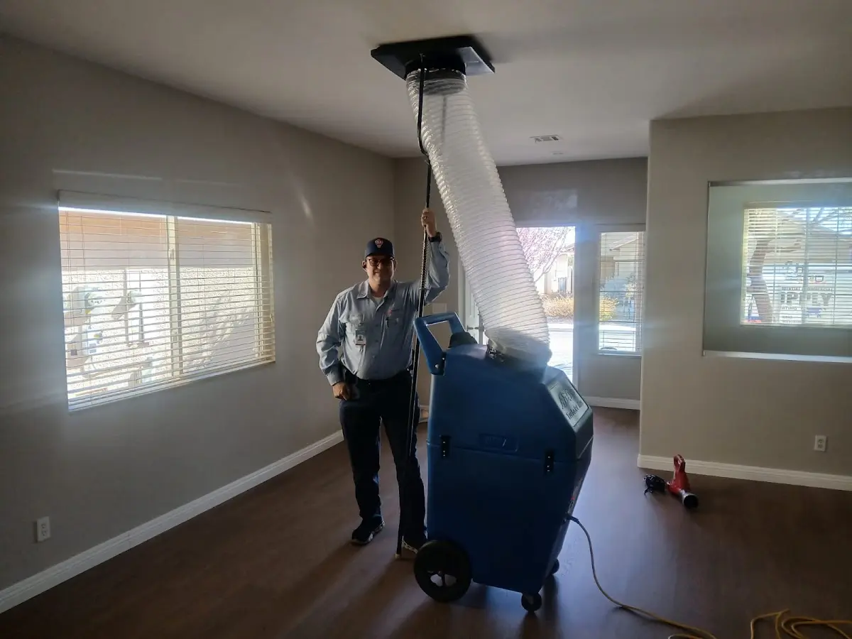 Professional Dryer Vent Cleaning work inside a Rochester home
